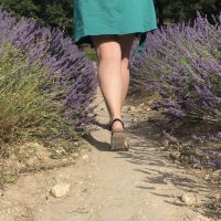 IMG_3504–2 sesiones